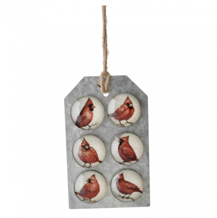 Cardinal with Script Background Magnets (sold seperately)