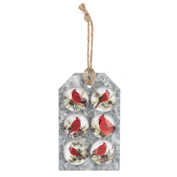 Cardinal Sitting on Pine Sprig Magnets