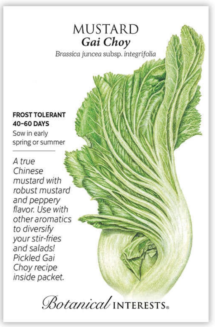 Gai Choy Mustard Seeds