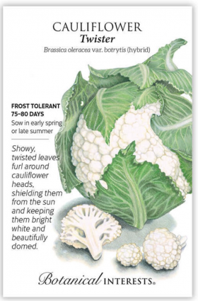 Twister Cauliflower Seeds