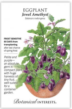 Jewel Amethyst Eggplant Seeds