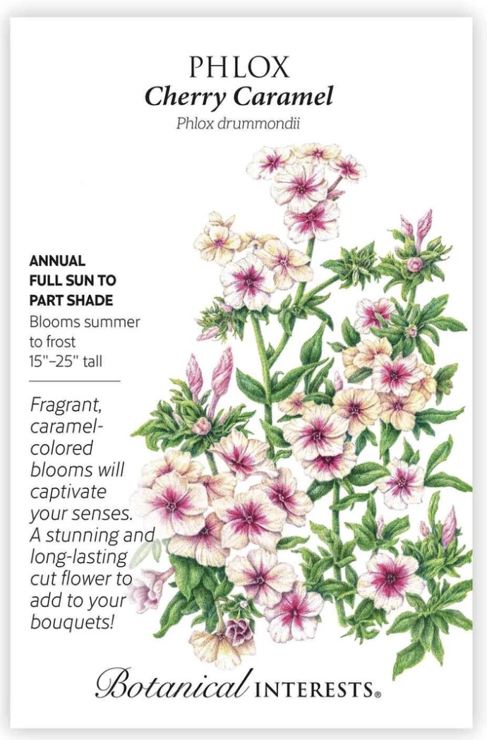 Cherry Caramel Phlox Seeds