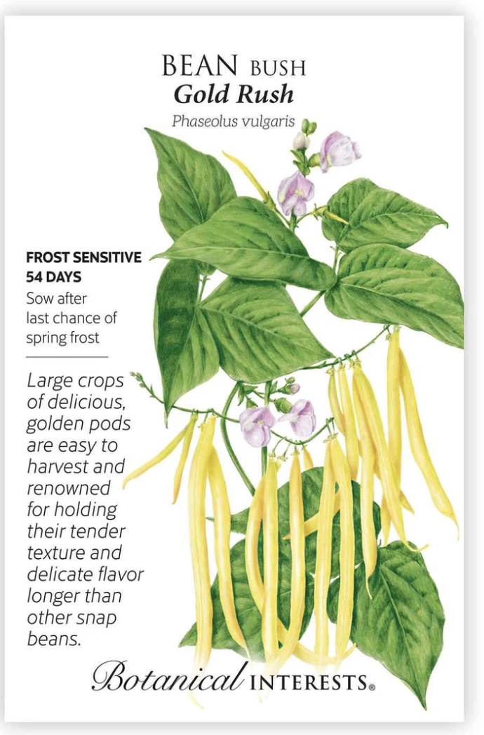 Gold Rush Bush Bean Seeds