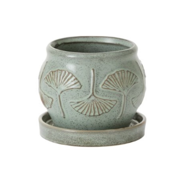 Green Biloba Pot with Saucer 