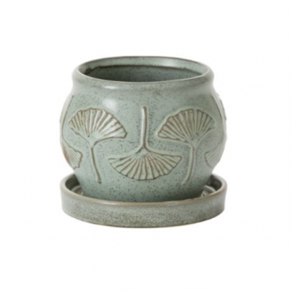 Green Biloba Pot with Saucer 