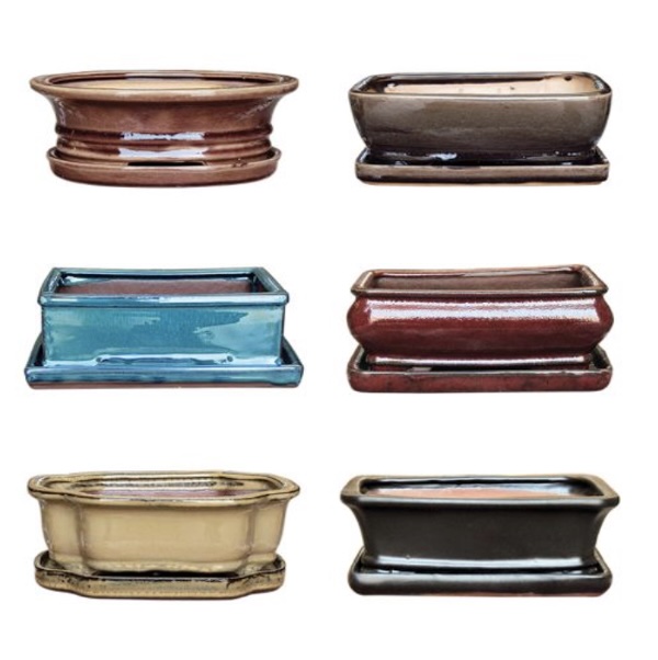 Bonsai & Cactus Pot 8" (Sold Separately)