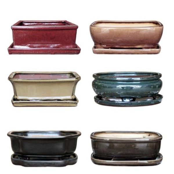 Bonsai Pot with Saucer 10"  (Sold Separately)