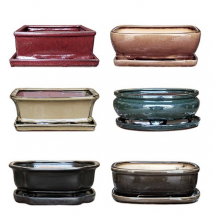 Bonsai Pot with Saucer 10"  (Sold Separately)