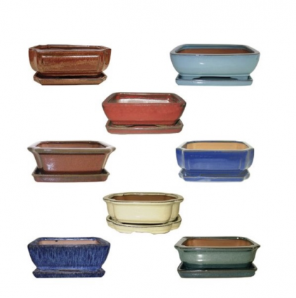 Bonsai & Cactus Pot 4" (Sold Separately) 