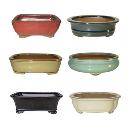 Bonsai Pots with Saucer 10" (Sold Separately)