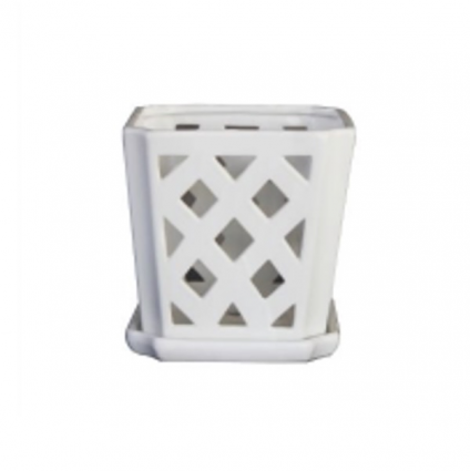 White Fremont Orchid Pot 7"