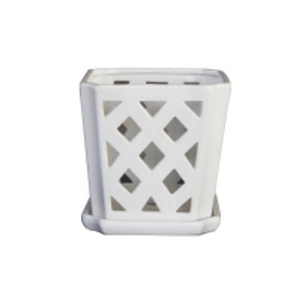 White Fremont Orchid Pot 5"