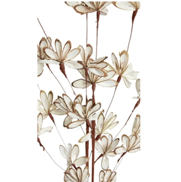 White & Natural Balsa Sunburst Spray 