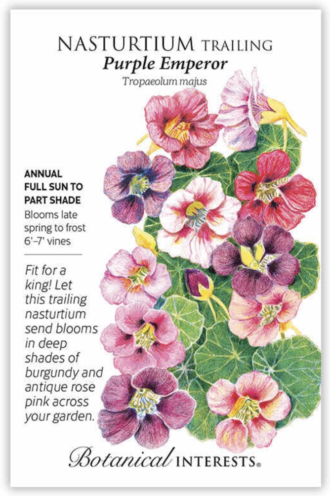 Purple Emperor Trailing Nasturtium Seeds