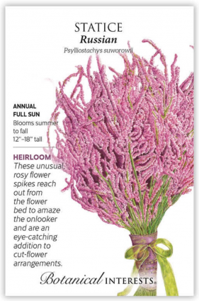 Russian Statice Seeds