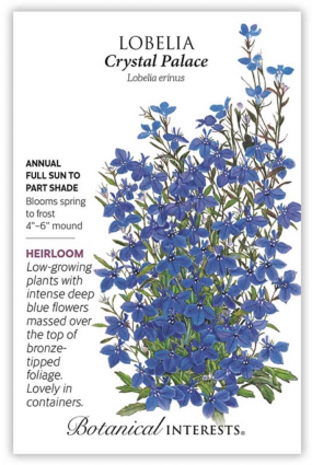 Crystal Palace Lobelia Seeds