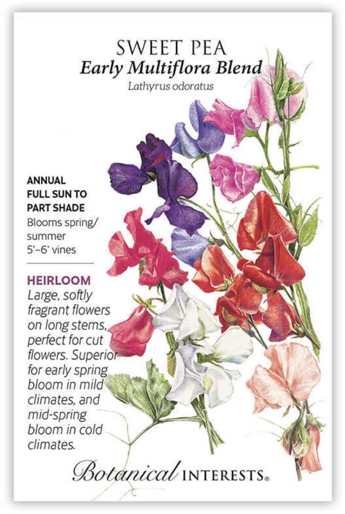 Knee-Hi Blend Sweet Pea Seeds