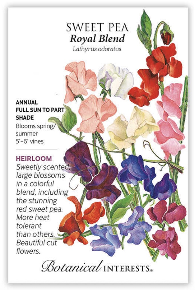 Royal Blend Sweet Pea Seeds