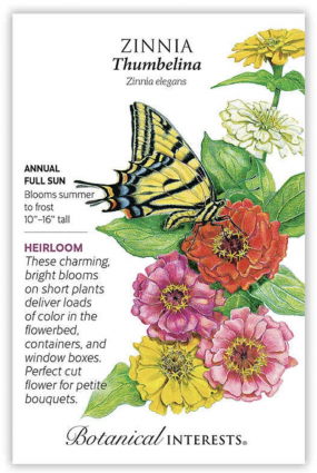 Thumbelina Zinnia Seeds