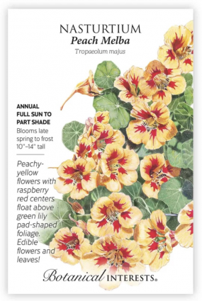 Peach Melba Nasturtium Seeds