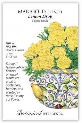 Lemon Drop French Marigold Seeds