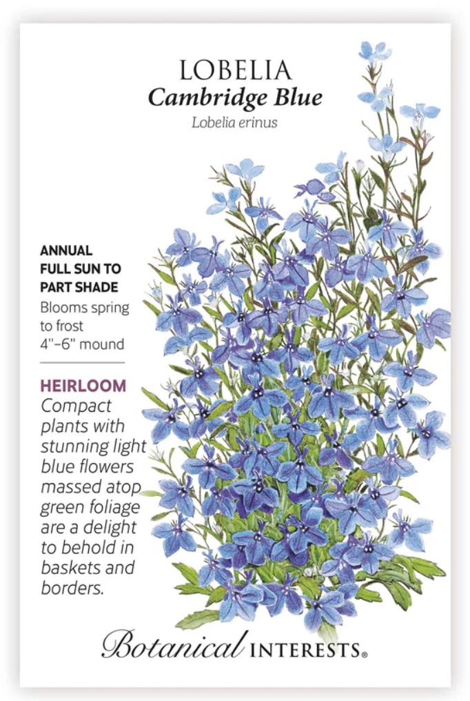 Cambridge Blue Lobelia Seeds