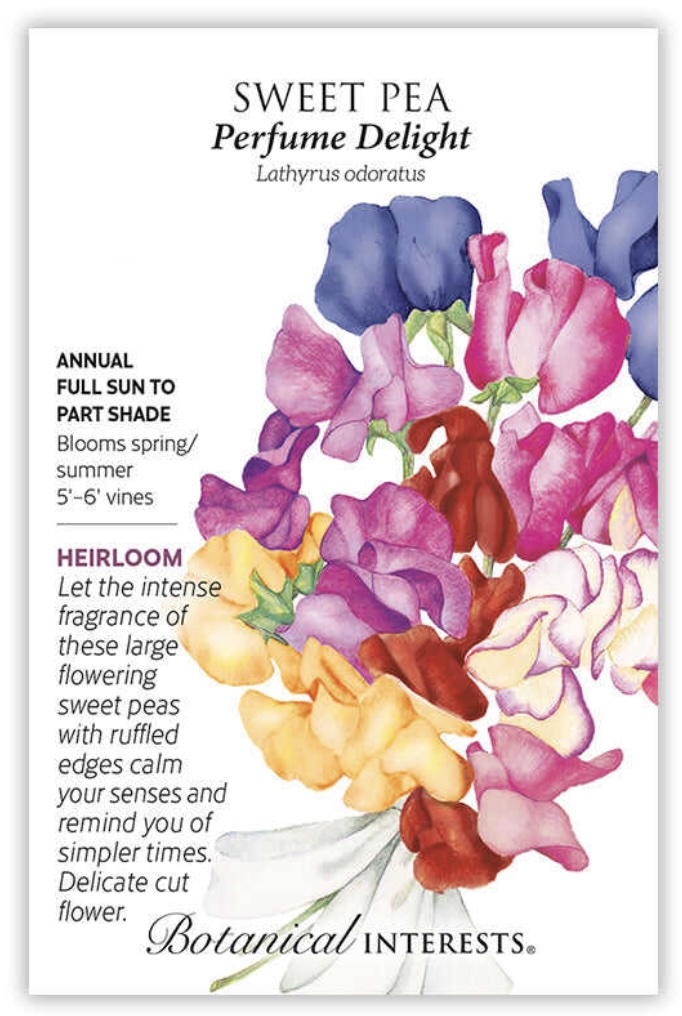 Perfume Delight Sweet Pea Seeds