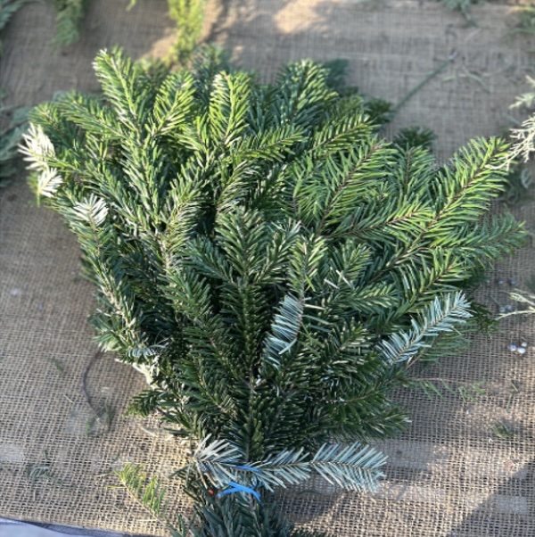 Cedar Incense Greenery Bunch