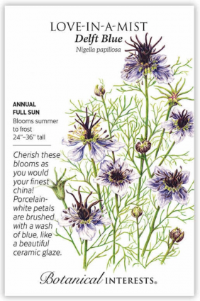 Love-In-A-Mist Delft Blue
