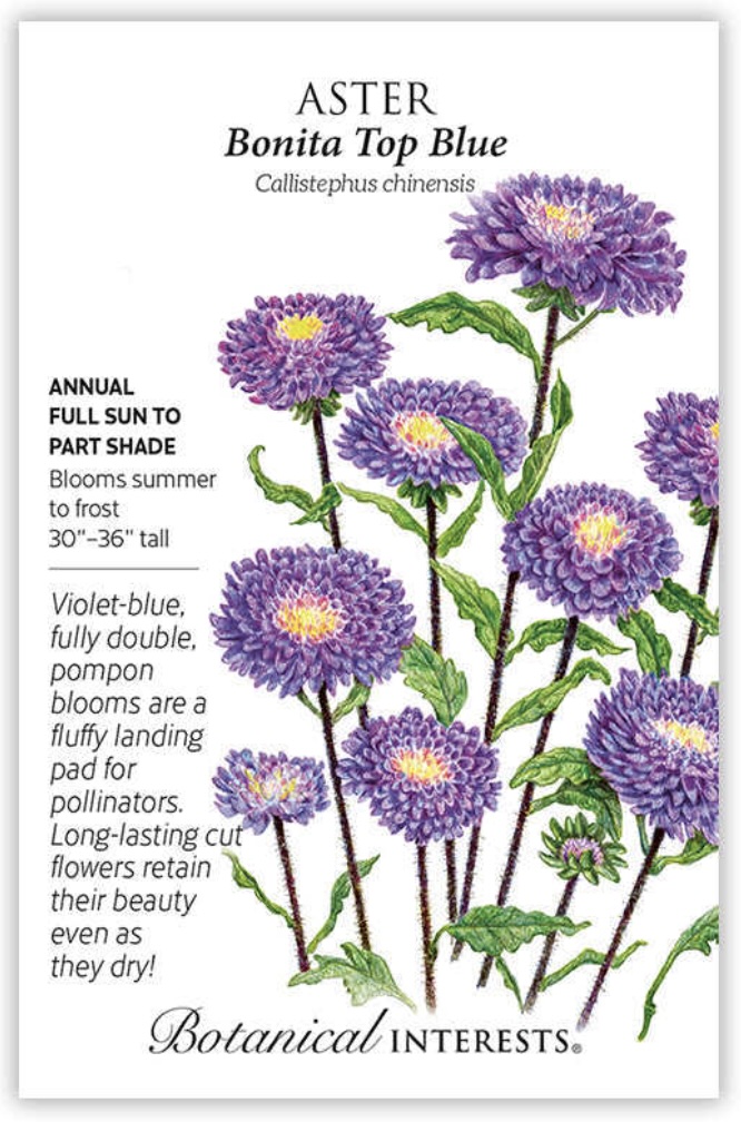 Bonita Top Blue Aster Seeds