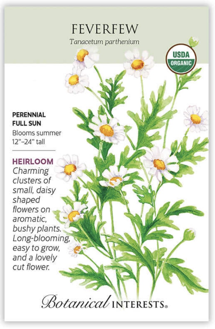 Organic Feverfew Seeds