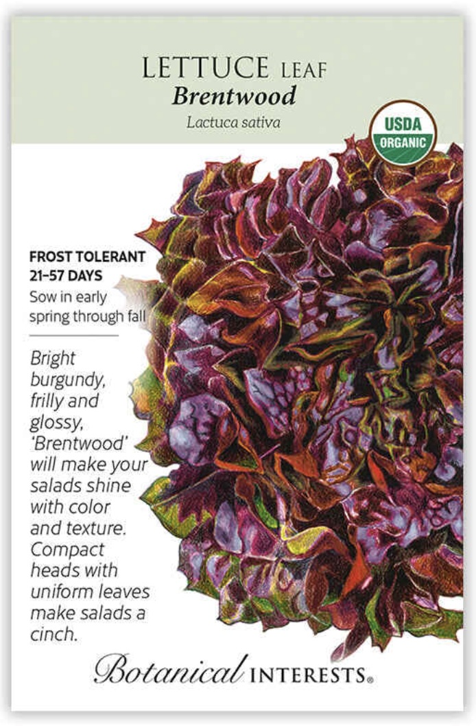 Organic Brentwood Leaf Lettuce Seeds