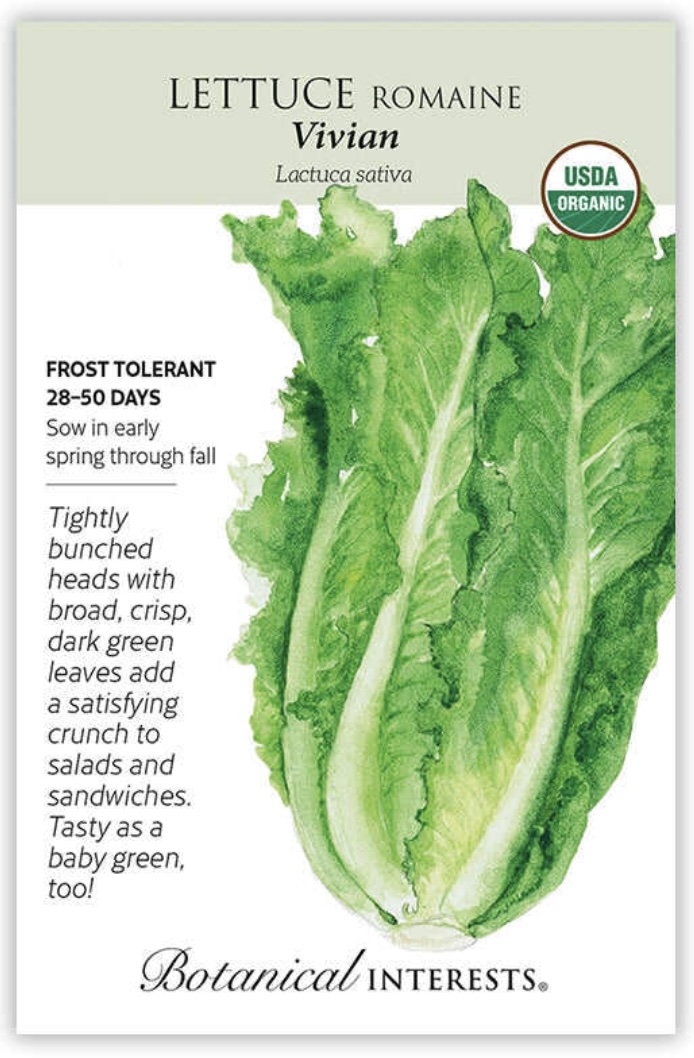 Organic Vivian Romaine Lettuce Seeds