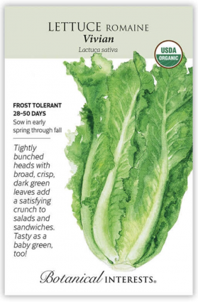 Organic Vivian Romaine Lettuce Seeds