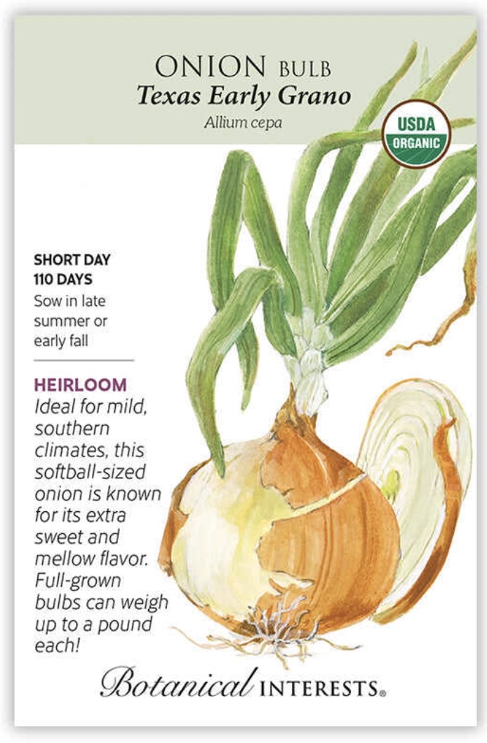 Organic Texas Early Grano Bulb Onion Seeds