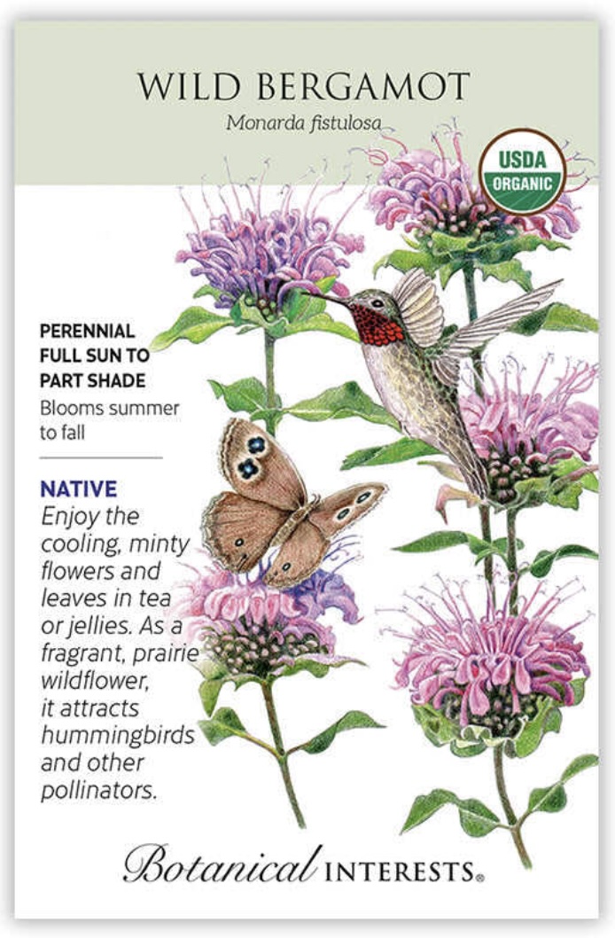 Organic Wild Bergamot Seeds