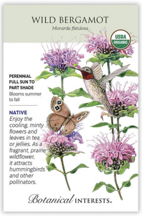 Organic Wild Bergamot Seeds