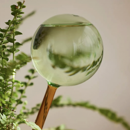 We the Wild Glass Watering Globe