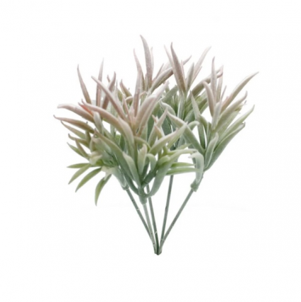 PICK, 5"W X 7"H AIRPLANT CLUMP