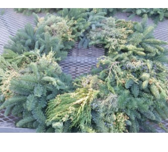 Cedar/Fir Mix Wreath 48/68"