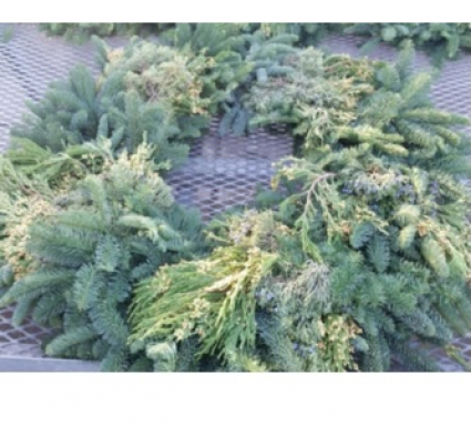 Cedar/Fir Mix Wreath 48/68"