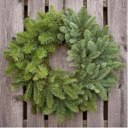 Noble Fir 20" Wreath