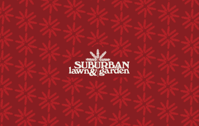 Holiday Red E-Gift Card