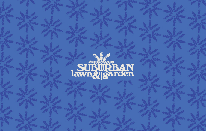 Holiday Blue E-Gift Card