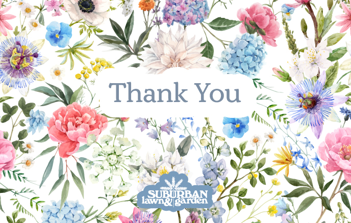 Thank You E-Gift Card