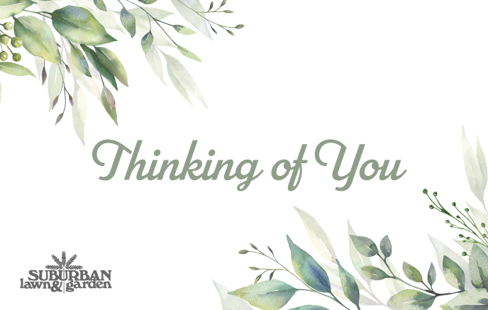 Thinking Of You E-Gift Card