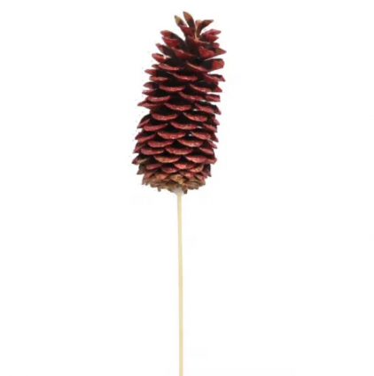Red Sugar Pine Cone