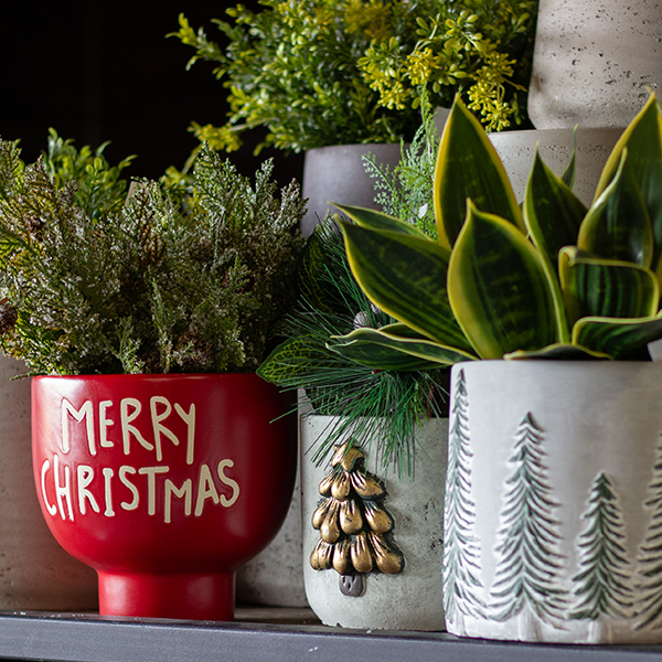 CHRISTMAS CONTAINERS