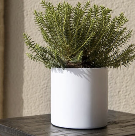Small White Matt Puk Planter