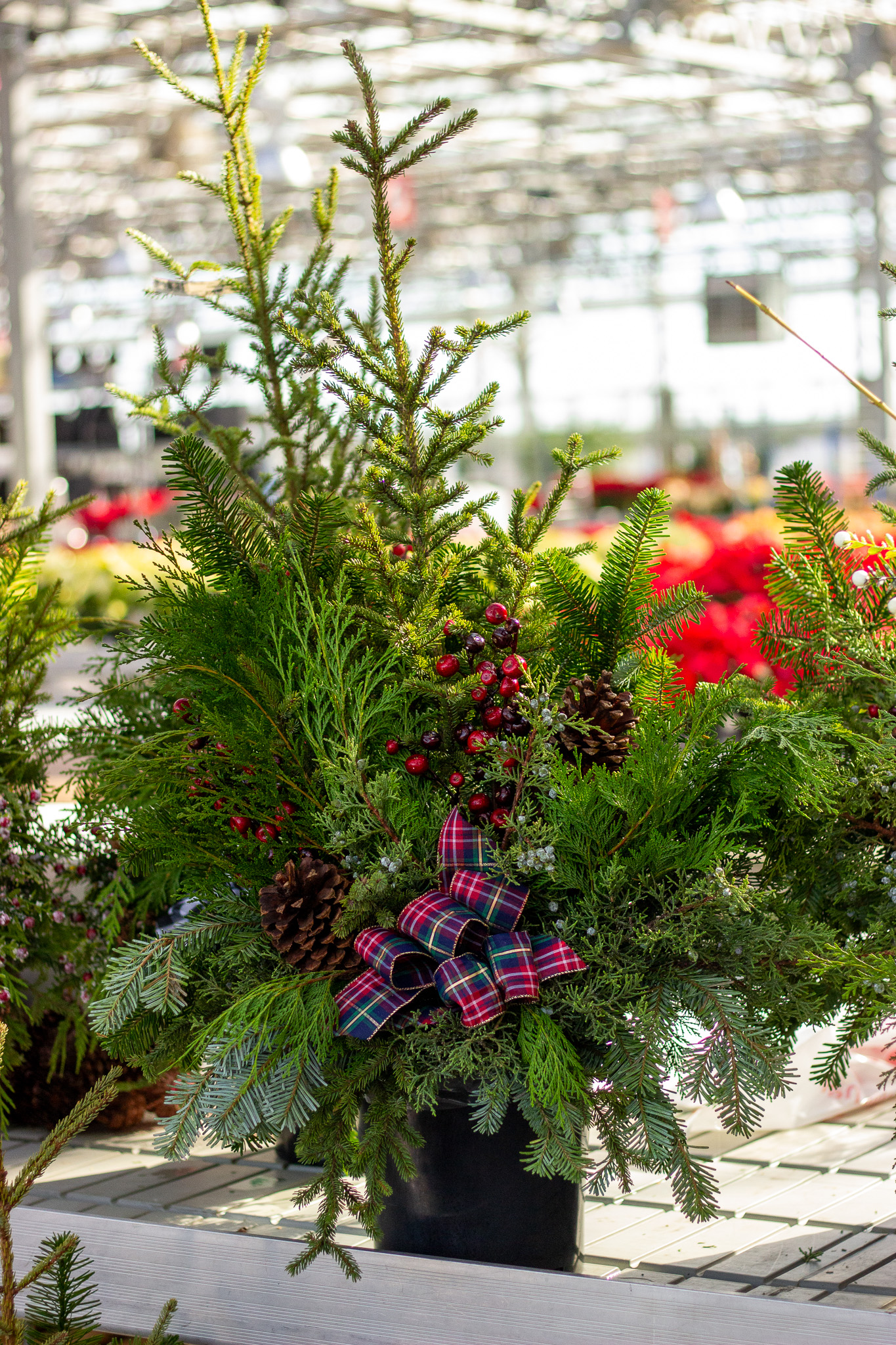 Custom Christmas Greenery Arrangements